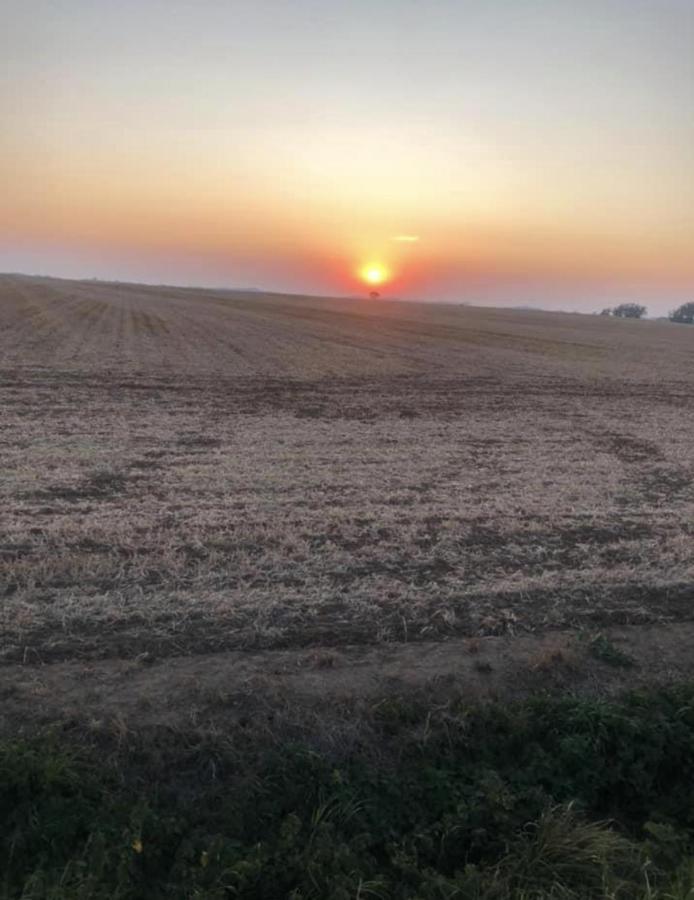 Halsham Southview Farmヴィラ エクステリア 写真